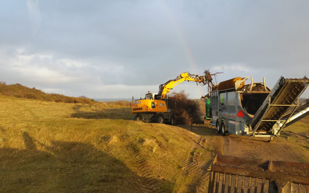 Shredderen en afzeven beplanting